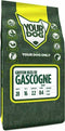 Yourdog griffon bleu de gascogne pup - 3 KG