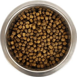 Yourdog koningspoedel pup - 3 KG