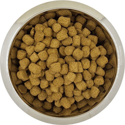 Yourdog Koningspoedel Rasspecifiek Adult Hondenvoer 12kg | Hondenbrokken
