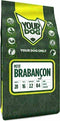 Yourdog petit brabançon pup - 3 KG