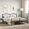 vidaXL - Bedframe - met - hoofd- - en - voeteneinde metaal - zwart - 160x200 - cm