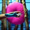 Fun Factory Tiger G5 Vibrator - Petrol