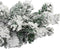 vidaXL - Kerstslinger - met - sneeuw - 5 - m - PVC - groen