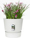 Elho Greenville Rond 40 - Grote Bloempot met Waterreservoir - 100% Gerecycled Plastic - Ø 39 x H 36.8 cm - Wit
