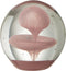 J-Line presse-papier Bel - glas - roze - large