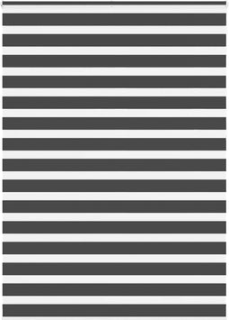 vidaXL - Zebra - rolgordijn - 165x230 - cm - stofbreedte - 160,9 - cm - zwart