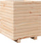 vidaXL - Plantenbak - 40x40x49,5 - cm - massief - grenenhout