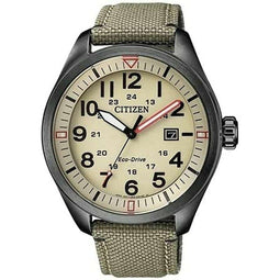 Horloge Heren Citizen AW5005-12X