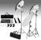 vidaXL - Fotostudioset - met - verlichtingsset - en - achtergrond