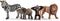 schleich WILD LIFE - Starterset Wild Life - Speelfiguur - Kinderspeelgoed voor Jongens en Meisjes - 3 tot 8 jaar