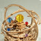 Robotime ROKR AMK51 - Muziekdoos - DIY - Starry Night - Houten Modelbouw