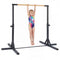 Coast Horizontale Gymnastiekstang - 12 Verstelbare Hoogtes (85-145 cm) - Paars/Blauw/Roze/Zwart
