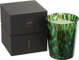 J-Line geurkaars Noa - Sandalwood - glas - groen - medium - 68U