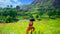 Bandai Namco Entertainment Inc. Dragon Ball Z: Kakarot - PS5 - Actie Avontuur RPG (2023)