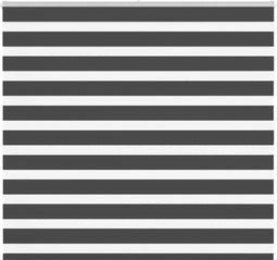 vidaXL - Zebra - rolgordijn - 165x100 - cm - stofbreedte - 160,9 - cm - zwart