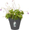 Elho Loft Urban Green Wall Pot Single 15 - Bloempot voor Buiten - Ø 15.0 x H 13.5 cm - Antraciet