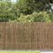 vidaXL - Tuinscherm - 300x80 - cm - riet