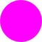 Epson 29XL - Inktcartridge - Origineel - Magenta
