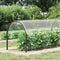 vidaXL - Plantenafdekking - met - zeilringen - 2x6 - m - PVC