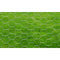 vidaXL - Kippengaas - 25x0,5 - m - gegalvaniseerd - staal - zilverkleurig