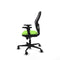 Piqueras y Crespo 2D036N0 - Gaming stoel - Hoogteverstelbaar - Pistache