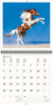 2026 Kalender schrijven 30 x 30 paarden - gratis 2025