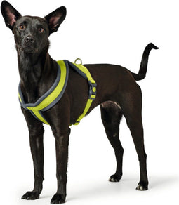 Hondentuigje Hunter London Comfort XS-S 39-47 cm Limoen