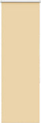 vidaXL - Rolgordijn - verduisterend - 45x130cm - stofbreedte - 40,7 - cm - polyester