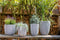 Capi Europe - Bloempot bol Groove NL - Breukbestendig - Goud - Ø35 cm