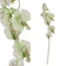 PTMD Garden Bloem Sweetpea Kunstbloem - 23 x 6,5 x 45,5 cm - Wit