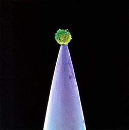 Peter Gabriel - New Blood - CD met krasjes (2 stuks)