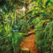 Komar - Fotobehang - Jungle - Trail - 368x254 - cm