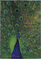 The Merchant Of Venice Murano Exklusive Collection - Imperial Emerald Concentrée eau de parfum 100ml