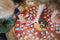 BS Toys Cats and Hats Bordspel - Kinderspeelgoed voor Binnen - 2-6 Spelers - Speelgoed vanaf 6 Jaar - Cadeau kind