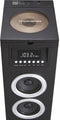Thomson DS120CD - Vloerstaande Bluetooth luidspreker - 60W - Zwart