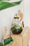 Growing Concepts DIY Duurzaam Ecosysteem Giants Ecolight XL - 20 Liter - Planten - Botanische Mix - H42xØ40cm