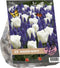 Baltus - Urban Flowers Borders Beauty per 25 bloembollen