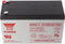 Yuasa NPW45-12 lood-PB-batterij 12 volt, 8500 mAh met Faston-contacten van 6,3 mm