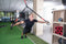 Pure2Improve Suspensietrainer pro