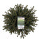 Picea abies 'Nidiformis' - Spar - Planthoogte: 40-50 cm - Pot Ø 23 cm (5 liter)