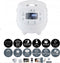 Yum Asia Panda Mini Rice Cooker With Ninja Ceramic Bowl and Advanced Fuzzy Logic
