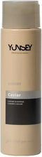 Yunsey Vigorance Caviar Shampoo 300ml