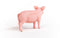 schleich FARM WORLD - Varken - 13933