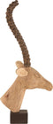 J-Line Figuur Hert Hoofd Mangohout Bruin