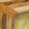 vidaXL - Tv-meubel - 120x30x45 - cm - massief - mangohout