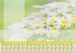 Sigel designonderlegger - papier - Lovely Daisies - A2 - jaren 2023/2024/2025 - SI-HO307