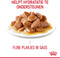 Royal Canin Urinary Care - Katten Natvoer in Gravy - 12 x 85 gr