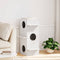 vidaXL - Kattenhuis - 43x43x90 - cm - massief - grenenhout - wit