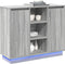 vidaXL - Dressoir - met - LED - Grijs - Sonoma - 90x32x75 - cm - Gemaakt - uit - Hout