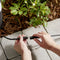 Philips GardenLink Caper - Sokkellamp 24V - Set van 3 - Zwart